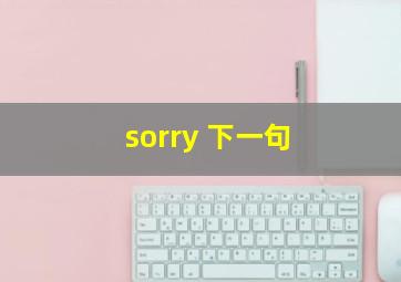 sorry 下一句